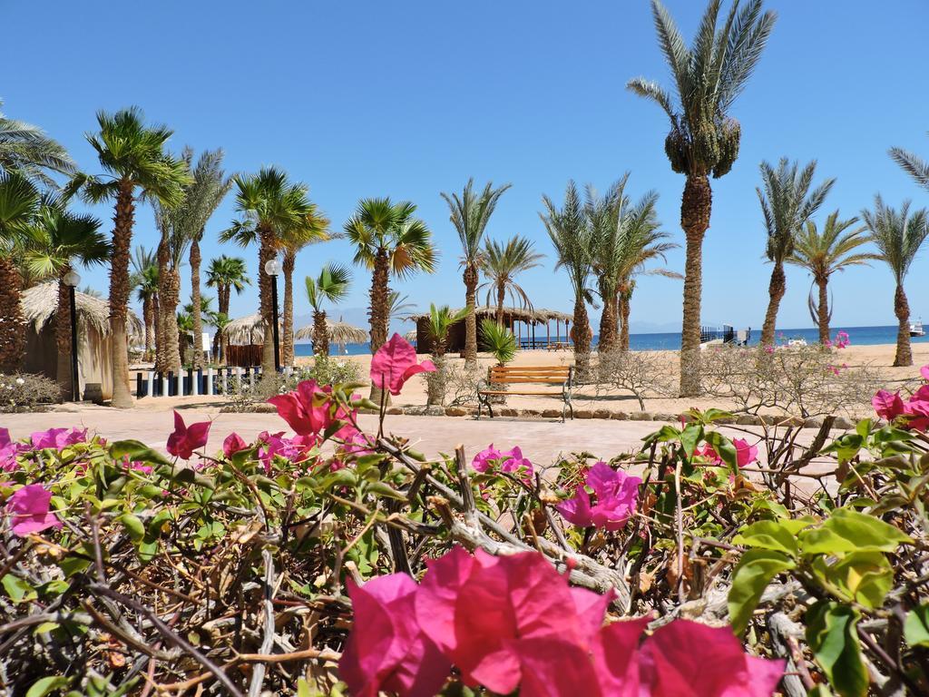 Time Coral Nuweiba Resort Exterior photo